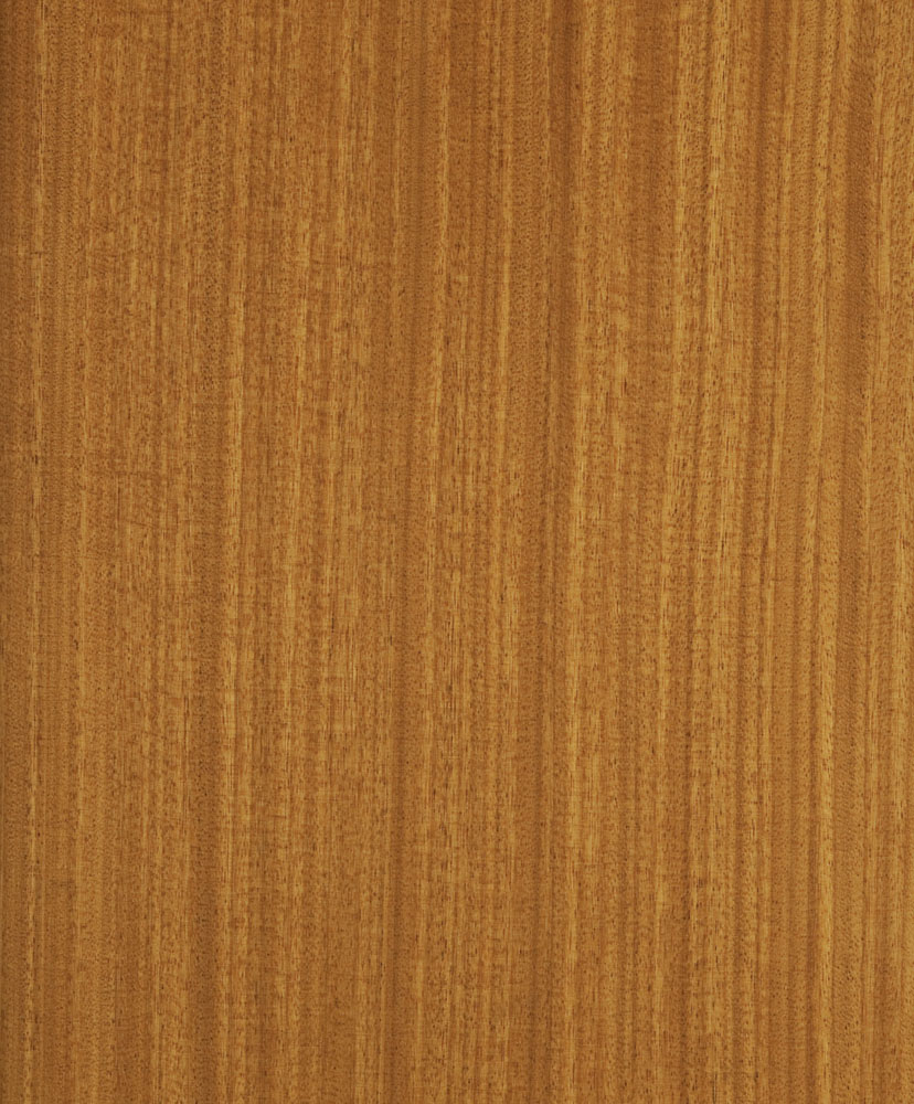 Afrormosia (bois sous restriction cities) - Pericopsis elata