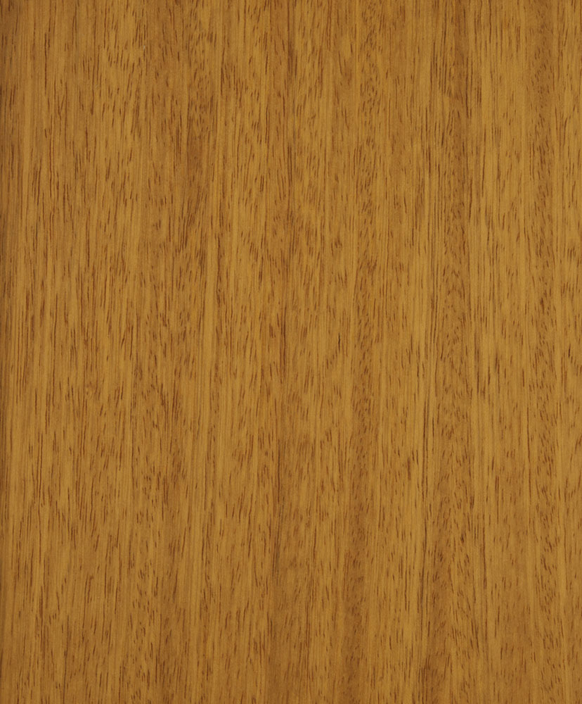 Iroko - Milicia excelsa