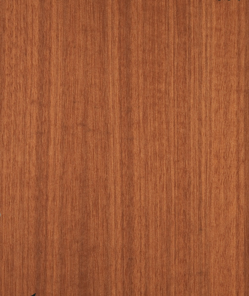 Makore - Tieghemella heckelii