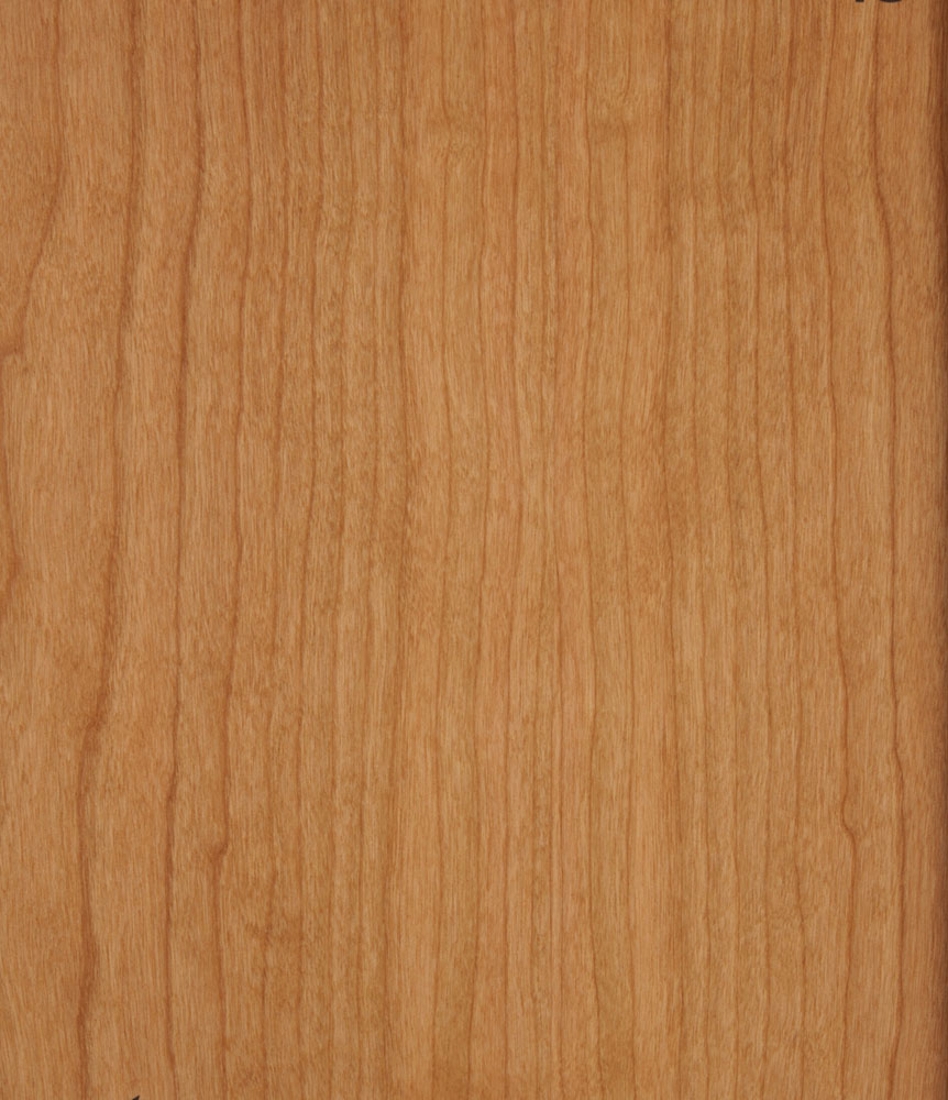 Merisier US - Prunus serotina