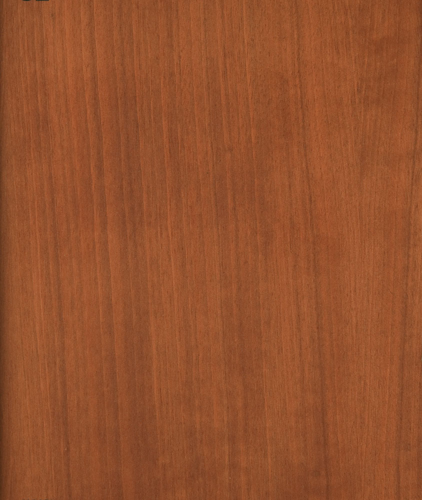Moabi - Baillonella toxisperma