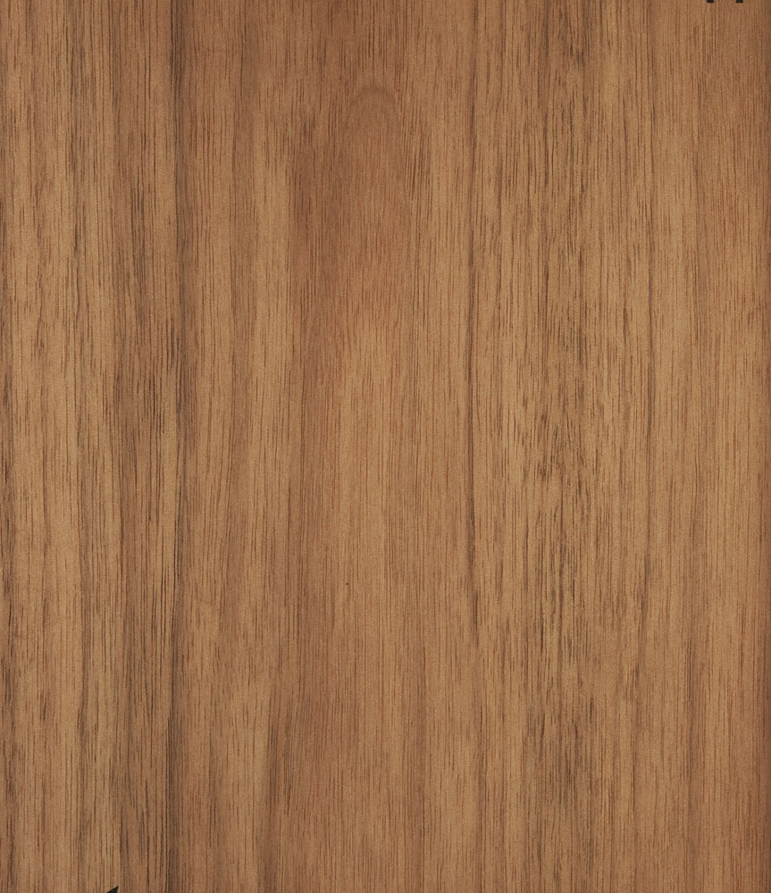 Noyer US - Juglans nigra