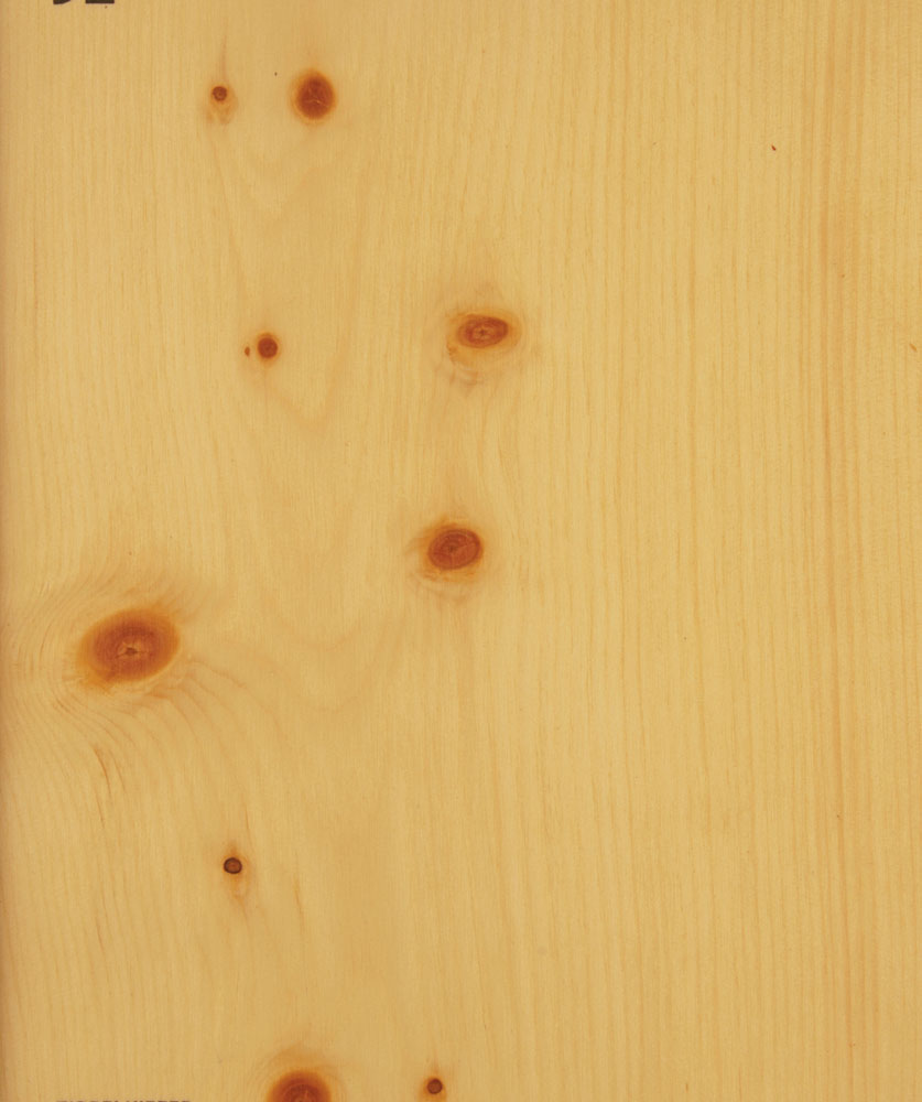 Pin cembre - Pinus cembra