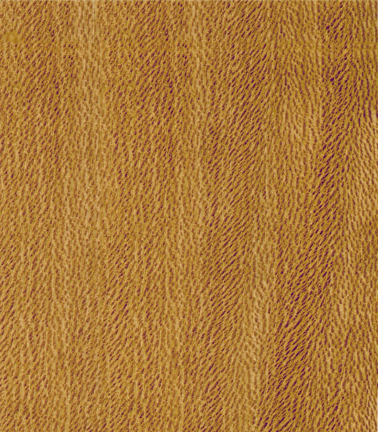Platane uni