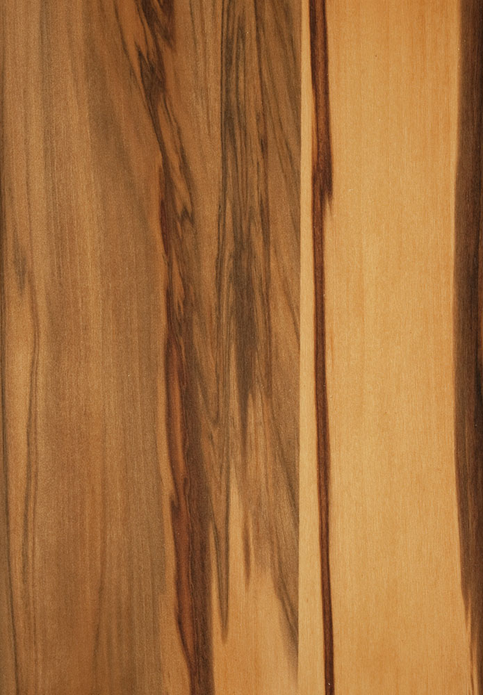 Redgum - Liquidambar styraciflua