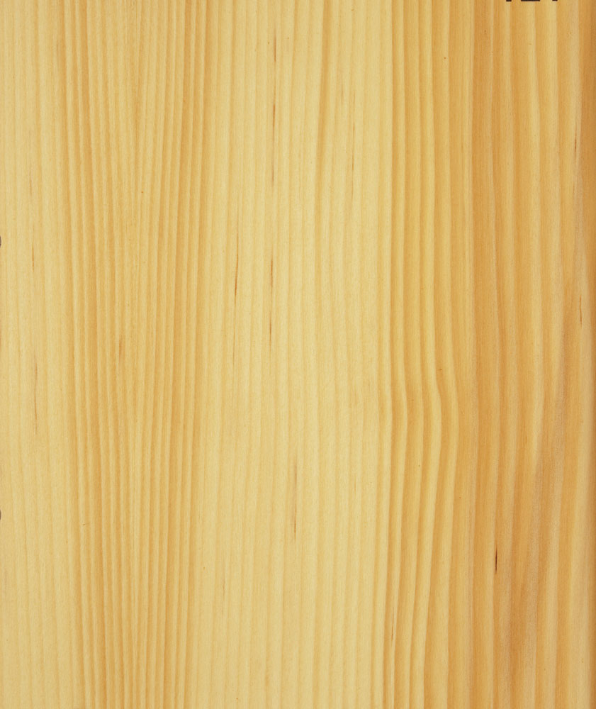 Sapin - Abies alba