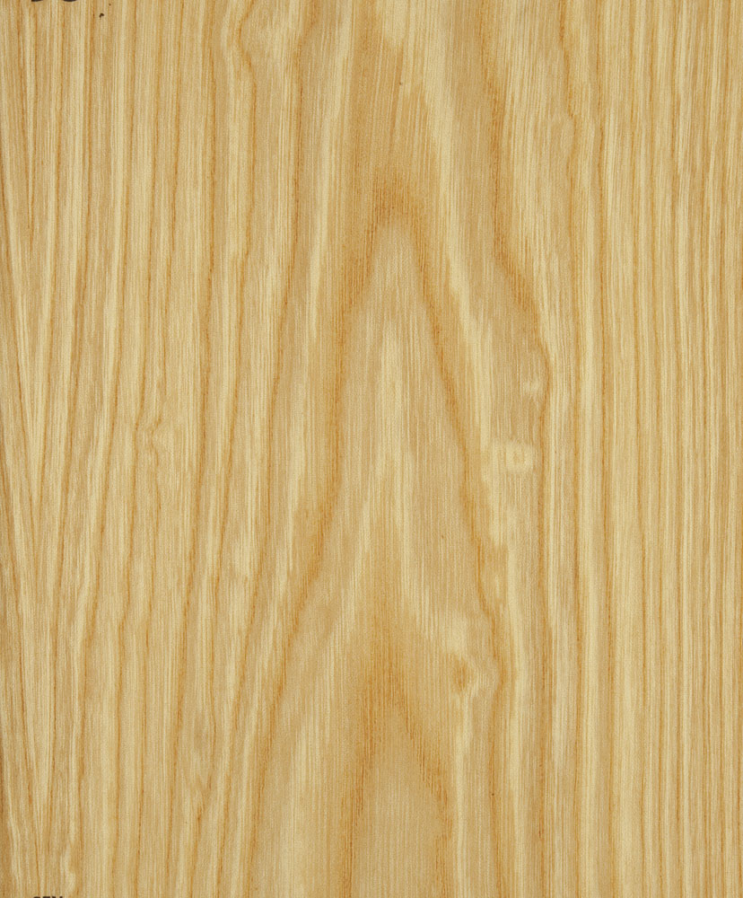 Sen - Kalopanax septemlobus