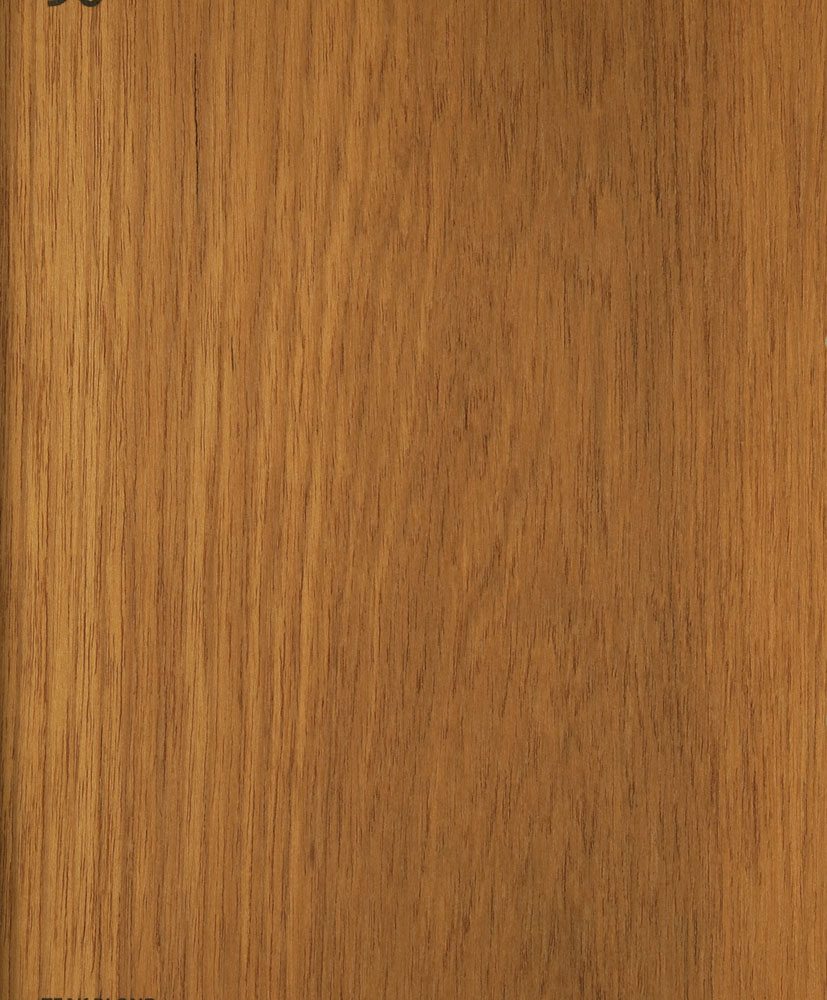 Teck blond - Tectona grandis