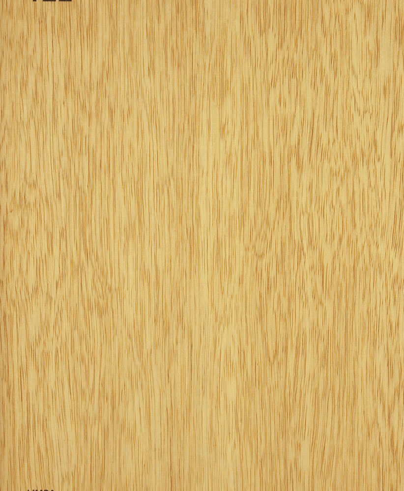 imba - Terminalia superba